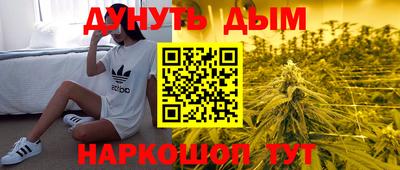 индика Гай