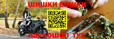 индика Гай