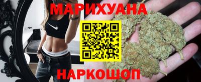 стафф Гатчина