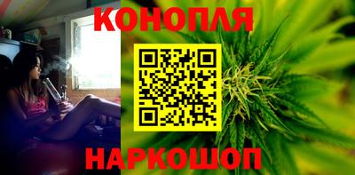 стафф Гатчина