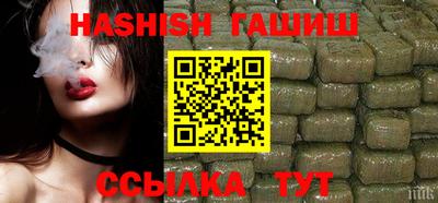 стафф Гатчина