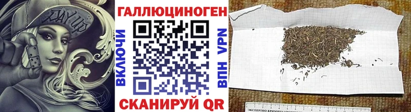 где найти наркотики  Котлас  Галлюциногенные грибы Magic Shrooms 