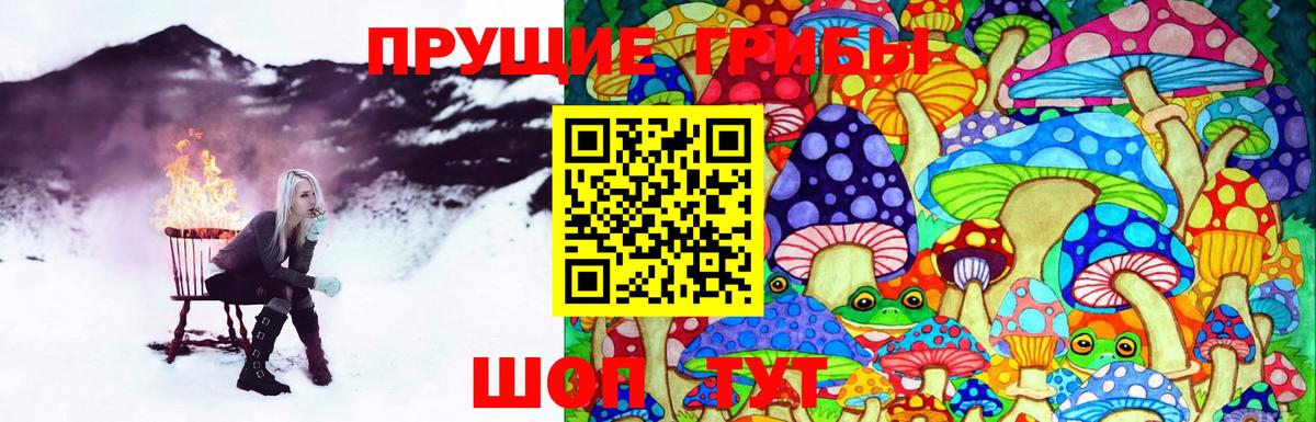 Котлас  Галлюциногенные грибы MAGIC MUSHROOMS  Вход с VPN 